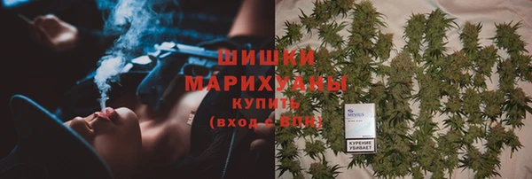 прущий лед Ельня