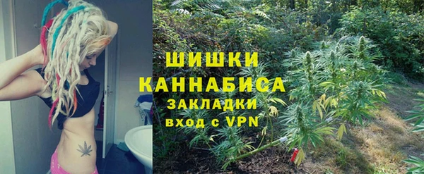 метадон Елизово
