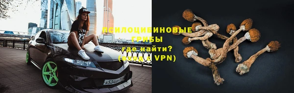 прущий лед Ельня