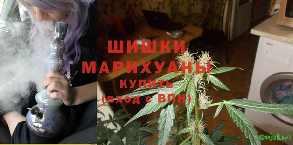 метадон Елизово