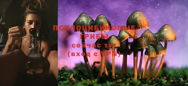прущий лед Ельня